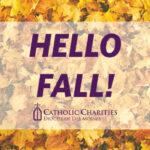 Fall FB 916x481